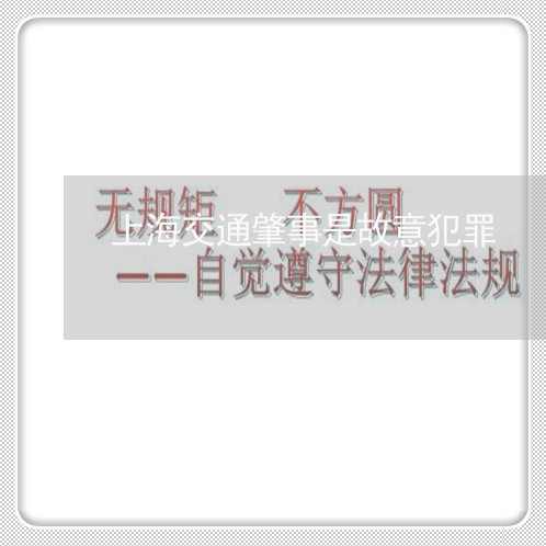 上海交通肇事是故意犯罪/2023022893937 上海交通肇事是故意犯罪/2023022893937