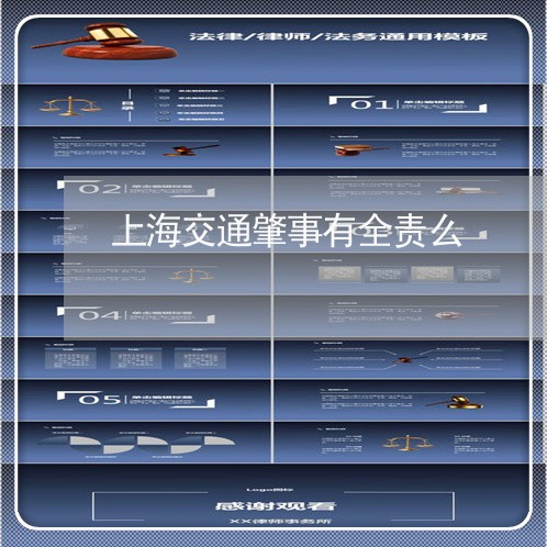 上海交通肇事有全责么/2023021249793 上海交通肇事有全责么/2023021249793