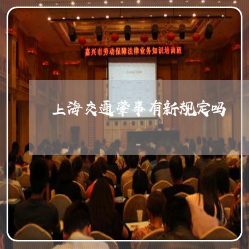 上海交通肇事有新规定吗/2023022882581 上海交通肇事有新规定吗/2023022882581