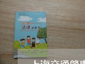 上海交通肇事有无伤残赔偿金/2023040172495