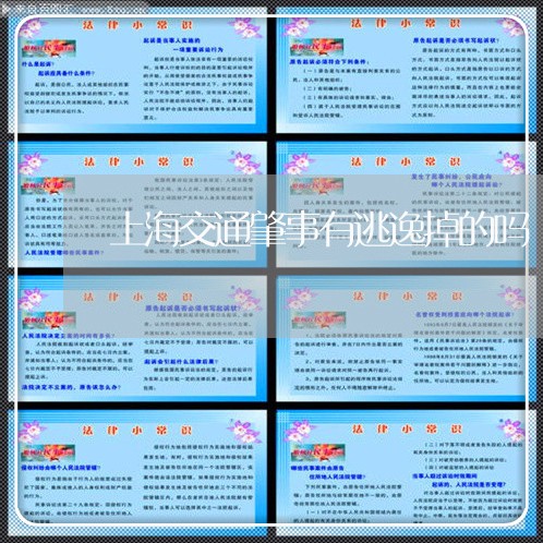 上海交通肇事有逃逸掉的吗/2023031862504