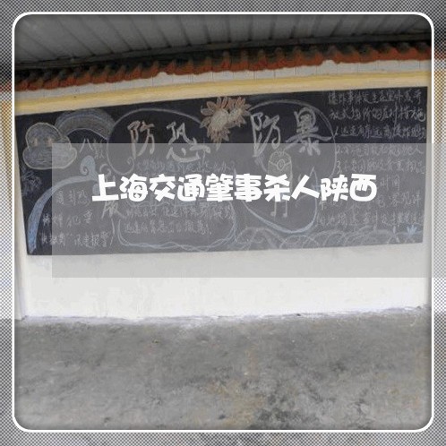 上海交通肇事杀人陕西/2023021350693 上海交通肇事杀人陕西/2023021350693