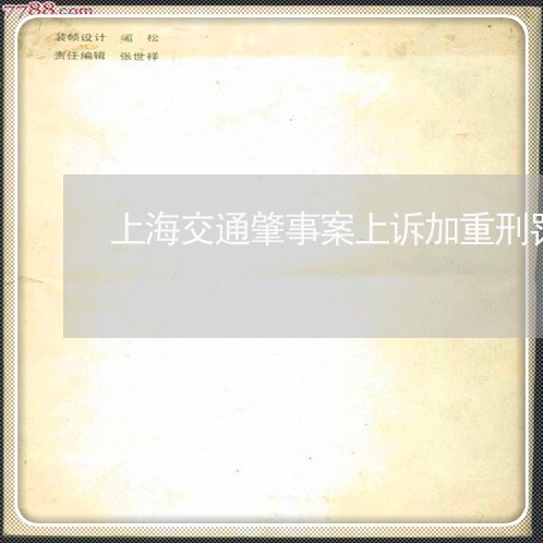 上海交通肇事案上诉加重刑罚/2023040129382 上海交通肇事案上诉加重刑罚/2023040129382