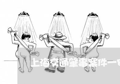 上海交通肇事案件一审/2023021283583 上海交通肇事案件一审/2023021283583