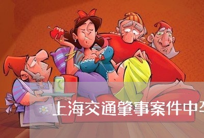 上海交通肇事案件中孕妇顶替/2023033131372