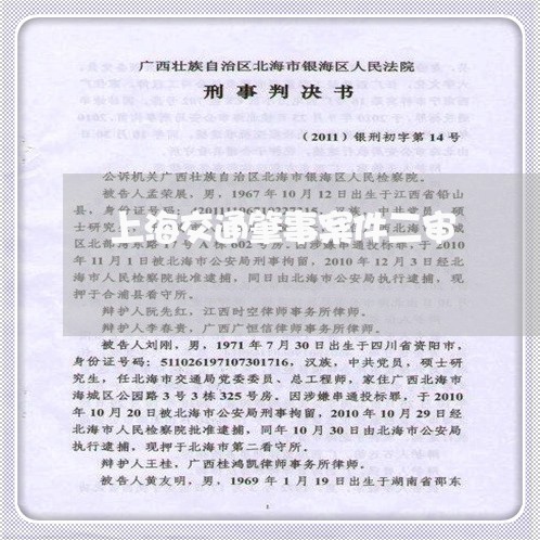 上海交通肇事案件二审/2023021380905 上海交通肇事案件二审/2023021380905