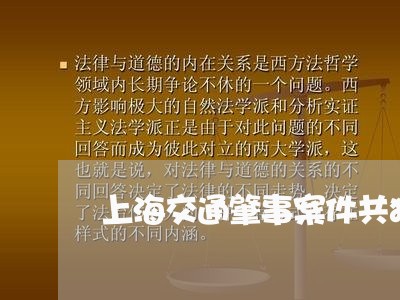 上海交通肇事案件共犯/2023021338260 上海交通肇事案件共犯/2023021338260