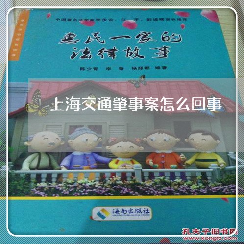 上海交通肇事案怎么回事/2023022894715 上海交通肇事案怎么回事/2023022894715