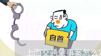上海交通肇事案怎么定性/2023022859381 上海交通肇事案怎么定性/2023022859381