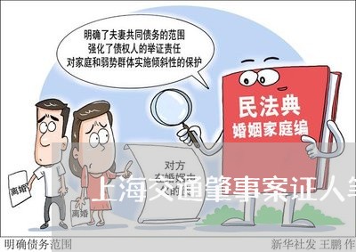 上海交通肇事案证人笔录/2023022882516