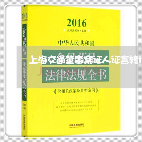 上海交通肇事案证人证言转换/2023033192793 上海交通肇事案证人证言转换/2023033192793