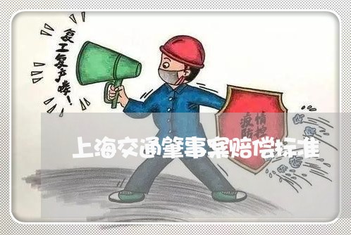 上海交通肇事案赔偿标准/2023042240692