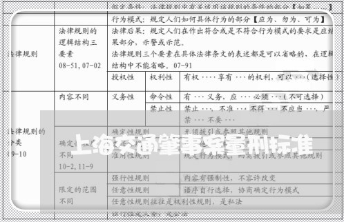 上海交通肇事案量刑标准/2023042295028