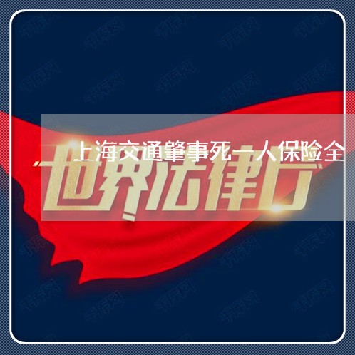 上海交通肇事死一人保险全/2023031865737 上海交通肇事死一人保险全/2023031865737
