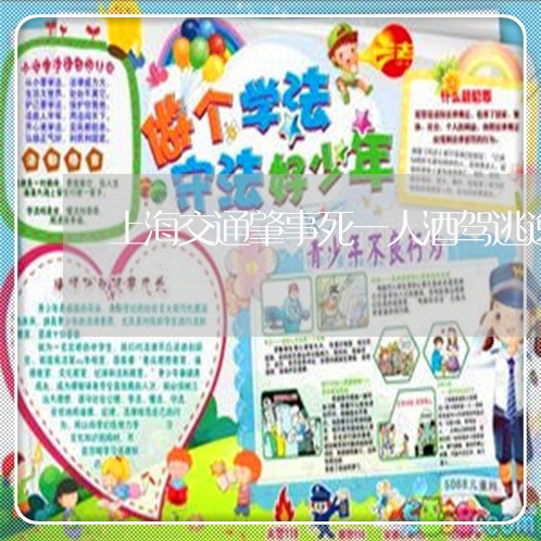 上海交通肇事死一人酒驾逃逸/2023033136058