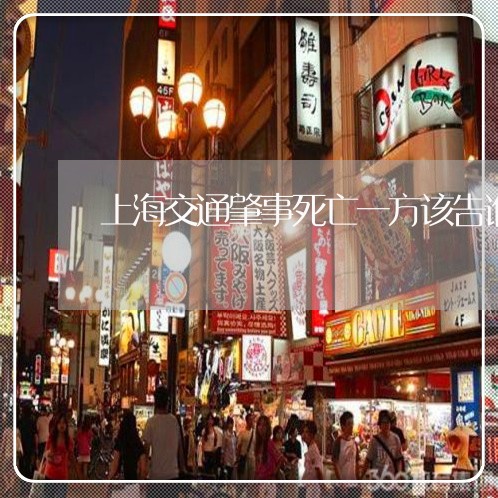 上海交通肇事死亡一方该告谁/2023033186027