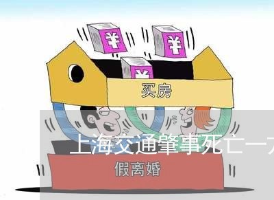 上海交通肇事死亡一方该告谁/2023033196161