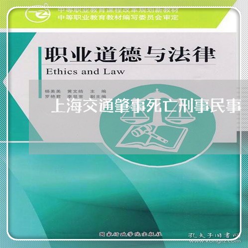 上海交通肇事死亡刑事民事/2023033114838