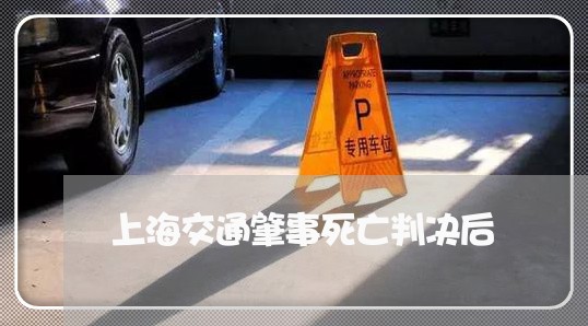 上海交通肇事死亡判决后/2023042279482