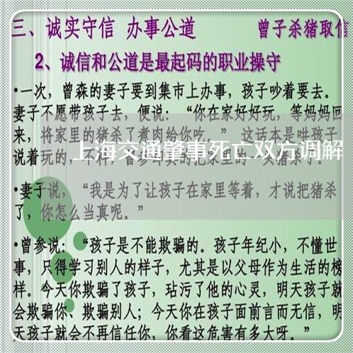 上海交通肇事死亡双方调解/2023040192838