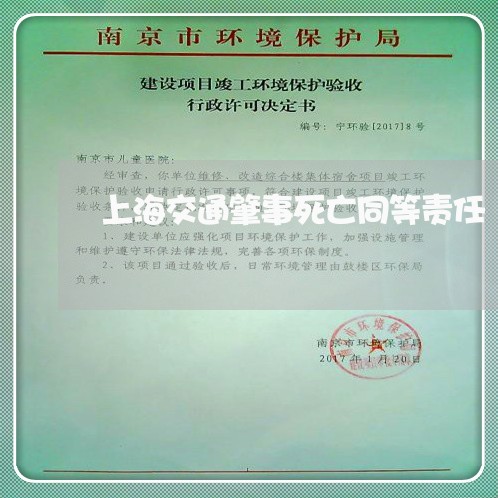 上海交通肇事死亡同等责任/2023031950713 上海交通肇事死亡同等责任/2023031950713