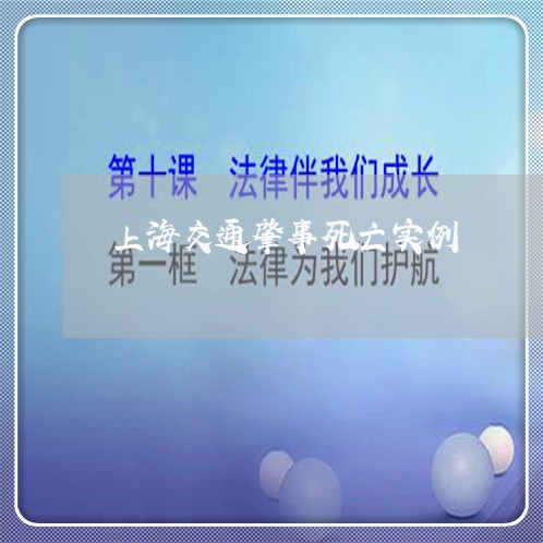 上海交通肇事死亡实例/2023021203036 上海交通肇事死亡实例/2023021203036