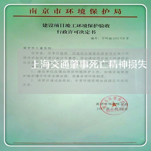 上海交通肇事死亡精神损失/2023031885727 上海交通肇事死亡精神损失/2023031885727