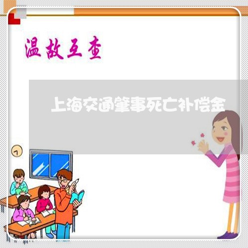 上海交通肇事死亡补偿金/2023022874359