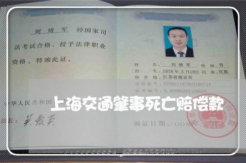 上海交通肇事死亡赔偿款/2023022897157 上海交通肇事死亡赔偿款/2023022897157