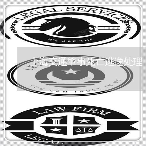 上海交通肇事死亡逃逸处理/2023031801597 上海交通肇事死亡逃逸处理/2023031801597