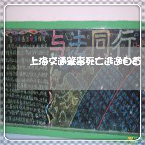 上海交通肇事死亡逃逸自首/2023031852525 上海交通肇事死亡逃逸自首/2023031852525