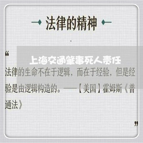 上海交通肇事死人责任/2023021241604 上海交通肇事死人责任/2023021241604