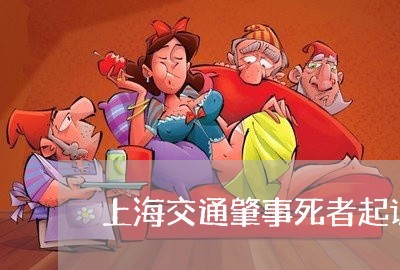 上海交通肇事死者起诉谁/2023022829147 上海交通肇事死者起诉谁/2023022829147