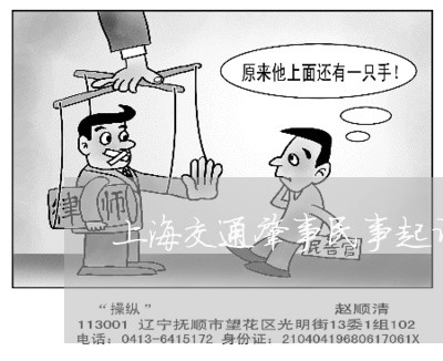 上海交通肇事民事起诉判决书/2023033177948