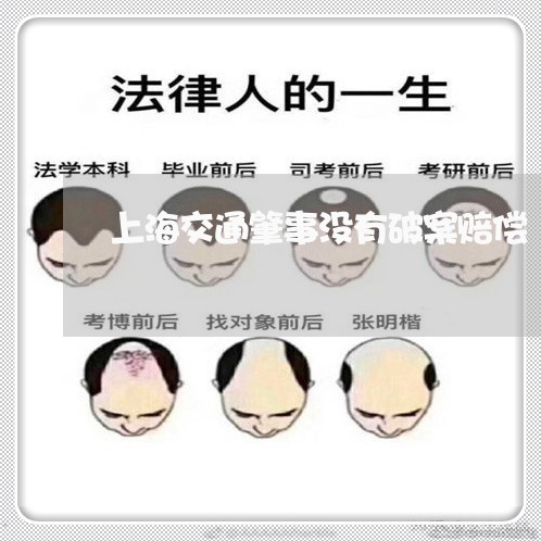 上海交通肇事没有破案赔偿/2023031835048 上海交通肇事没有破案赔偿/2023031835048