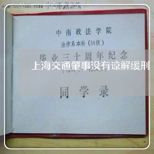 上海交通肇事没有谅解缓刑/2023031862604 上海交通肇事没有谅解缓刑/2023031862604