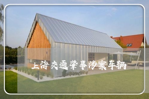 上海交通肇事涉案车辆/2023021230504 上海交通肇事涉案车辆/2023021230504