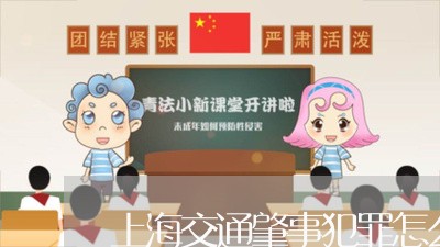 上海交通肇事犯罪怎么赔偿/2023031874826 上海交通肇事犯罪怎么赔偿/2023031874826