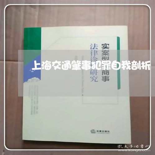 上海交通肇事犯罪自我剖析/2023033108584