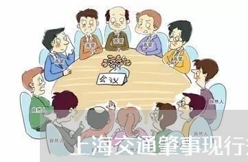 上海交通肇事现行规定/2023021316049