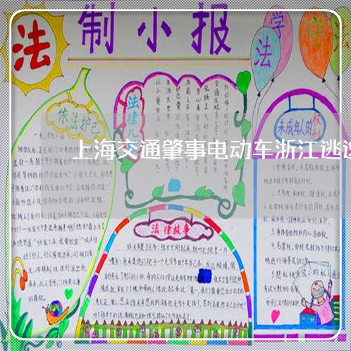 上海交通肇事电动车浙江逃逸/2023033139573 上海交通肇事电动车浙江逃逸/2023033139573
