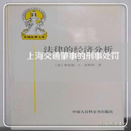 上海交通肇事的刑事处罚/2023042231684