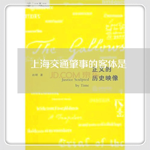 上海交通肇事的客体是/2023021337159