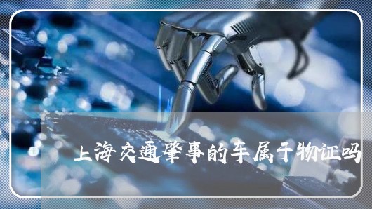 上海交通肇事的车属于物证吗/2023033180827