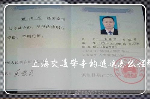 上海交通肇事的逃逸怎么理解/2023033127248