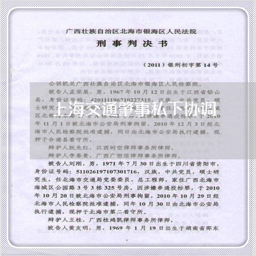 上海交通肇事私下协调/2023021256159 上海交通肇事私下协调/2023021256159