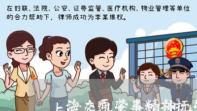 上海交通肇事精神抚慰多钱金/2023033137159 上海交通肇事精神抚慰多钱金/2023033137159