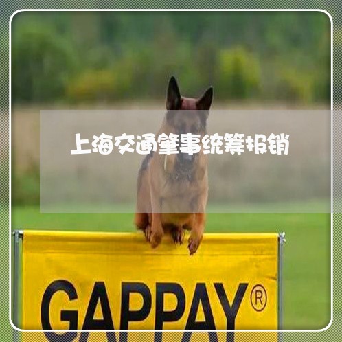 上海交通肇事统筹报销/2023021225936 上海交通肇事统筹报销/2023021225936