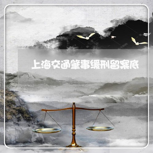 上海交通肇事缓刑留案底/2023042273714