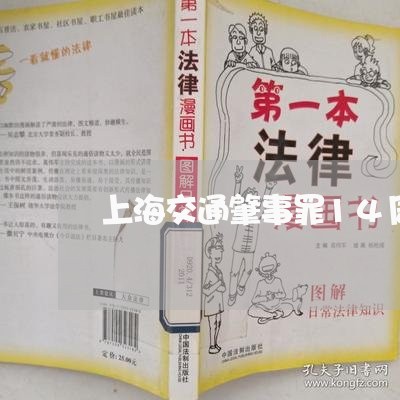 上海交通肇事罪14周岁以下/2023033116027 上海交通肇事罪14周岁以下/2023033116027